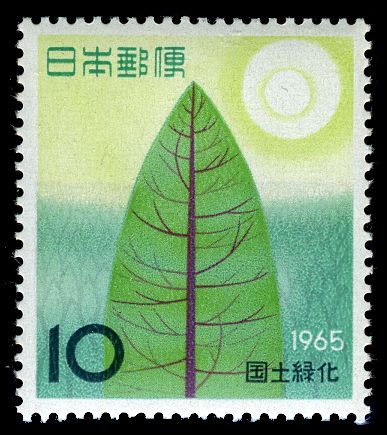 Reforestation