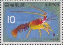 Japanese Spiny Lobster (Panulirus japonicus)