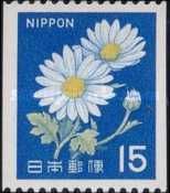 Ox-eye Daisy (Leucanthemum vulgare)