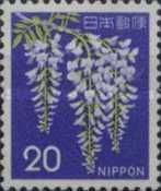 Wisteria