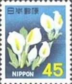 Asian Skunk Cabbage - Lysichiton camtschatcensis