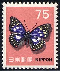 Japanese Emperor (Sasakia charonda)