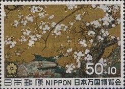 Cherry Blossoms