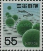 Marimo Moss Balls (Aegagropila Linnaei)