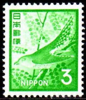 Lesser Cuckoo (Cuculus Poliocephalus)