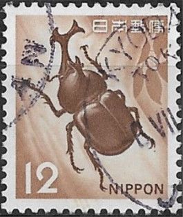 Japanese Rhinoceros Beetle (Allomyrina dichotoma)