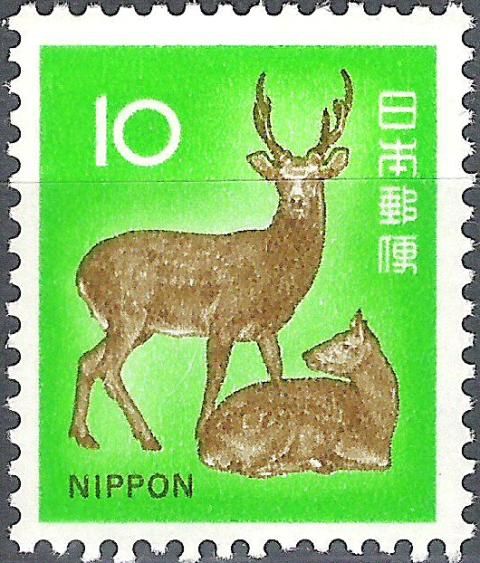 Sika Deer (Cervus Nippon)