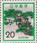 Japanese Pine Tree