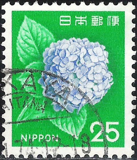 Hydrangea (Hydrangea sp.)