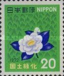 Camellia