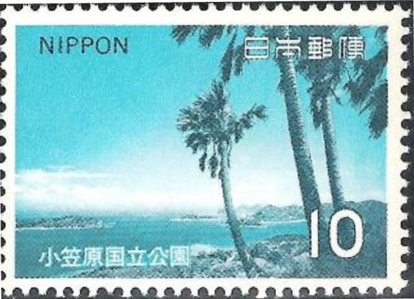 Chichijima Beach (Ogasawara) (Bonin Islands)