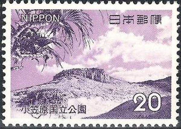 Coral Reef on Minami Island (Ogasawara)