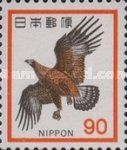 Japanese Golden Eagle (Aquila chrysaetos japonica)