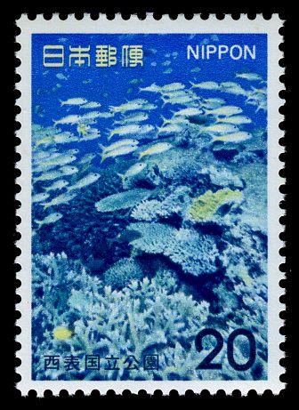 Coral Reef, Fish