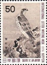 Northern Goshawk (Accipiter gentilis)