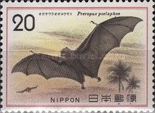 Bonin Flying Fox (Pteropus pselaphon)