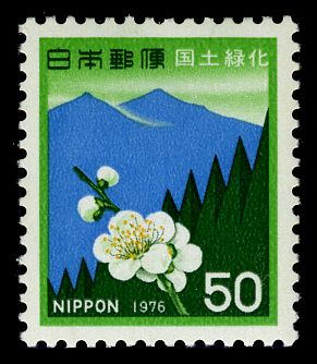 Plum Blossoms