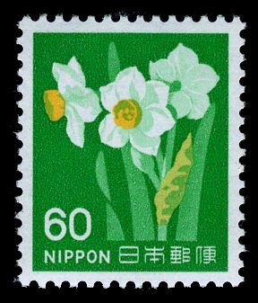 Narcissus