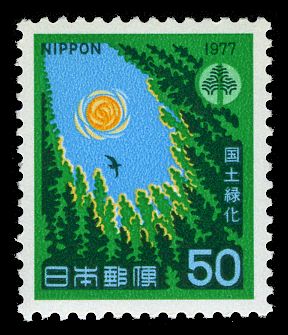 Sun on Forest