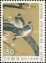 Oriental Turtle Dove (Streptopelia orientalis)