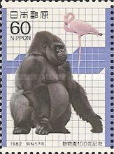 Gorilla (Gorilla gorilla), Flamingo (Phoenicopterus ruber)