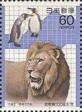 Lion (Panthera leo), King Penguins (Aptenodytes patagonicus)