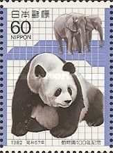Giant Panda (Ailuropoda melanoleuca), Afrikan Elephant (Loxo