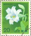 White Trumpet Lily (Lilium Longiflorum)