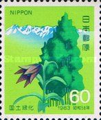 Afforestation