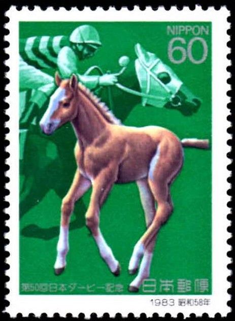 50 Years of National Galopper Derby