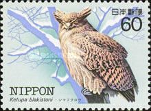 Blakiston's Fish Owl (Ketupa blakistoni/Bubo blakistoni)