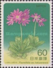 Alpine Plant (P. cuneifolia)