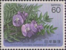 Oxytropis nigrescens