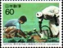 20th Anniversary of Japanese Overseas Cooperation Volunteers
