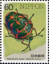 Clown Stink Bug (Poecilocoris lewisi)