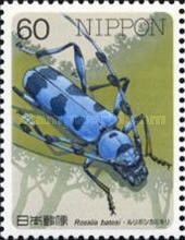 Longhorn Beetle (Rosalia batesi)