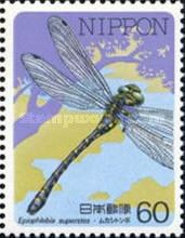 Dragonfly (Epiophlebia superstes)