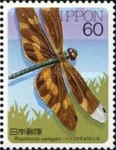 Common Picture Wing (Rhyothemis variegata)