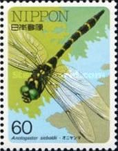 Golden-ringed Dragonfly (Anotogaster sieboldii)