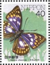 Japanese Emperor (Sasakia charonda)