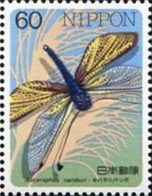 Owl-fly (Ascaraphus ramburi)