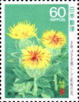 Safflowers in Bloom
