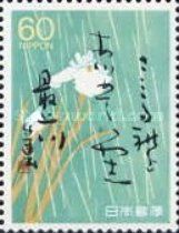 Irises in the Rain (Oishida)