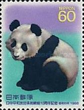 Giant Panda (Ailuropoda melanoleuca)