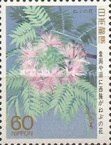 Mimosa Flowers