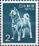 Dog, Akita Inu (Canis Lupus Familiaris)