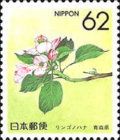 Apple Blossom (Aomori)