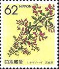 Japanese Bush Clover (Miyagi)