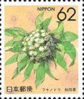 Butterbur Flower (Akita)