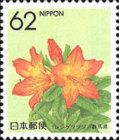 Japanese Azalea (Gunma)